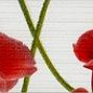 267041 Fiori Бордюр Гвоздика 40х6 PiezaROSA