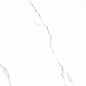 6461-0411 Иней белый 60х60 Lasselsberger фото в миниатюре 6