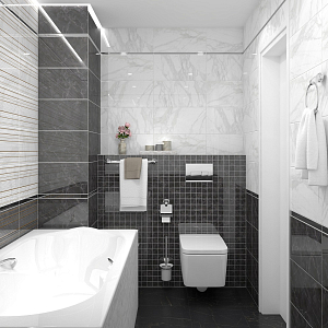 Olimpus Laparet