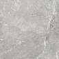 D60259M Wild Light матовый 600x600x9.5 New Trend