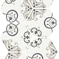 MIN101M Minima8.6 Uni 17х15 Quintessenza