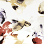 WITVE008 Majolika 20x60 RAKO