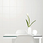 Citta MARAZZI Italy