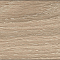 776734 Woodslate Life Champagne Wood Arrow DX 10x60 Cerim