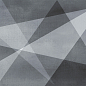WT9SHG17 Shape Geometric 24.9х50 AltaCera