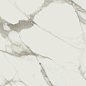 Statuario Natural 60x120 Baldocer