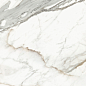 D60209M Calacatta Premium карвинг 600x600x9.5 Delacora