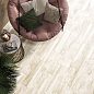 Shabby New Trend
