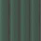 Plinto Out Green Gloss 10.7x54.2 DNA Tiles