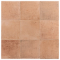 30819 Raku Nude 10x10 EQUIPE