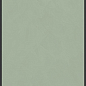 764112 Policroma Arco Lichene-Conifera Mat Ret 6mm 120x240 Cedit