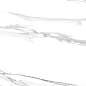 60120STA15P Statuario Silver 60x120 LCM