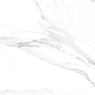 Statuario Oro PGVT 60x120 Casati Ceramica