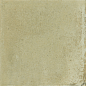 30820 Raku Sage 10x10 EQUIPE
