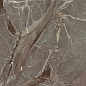 Dusk Taupe-D 60x120 La Platera фото в миниатюре 5