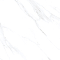Statuario Venezia Glossy 60x60 Modern Tile