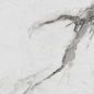 R_PR1005 Carrara Betria Polished 60x60 Royce