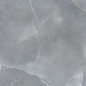 N20522 Jennifer Grey Polished 60x120 Neodom