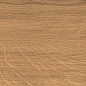 AX4J Log Amber Oak Forest Grip 20x120 Atlas Concorde
