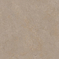 TR61208T Desert Stone Карвинг матовая 60x120 Terramic Tiles