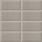 Bissel Pearl 10x20 Mainzu