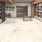 Glossy Maimoon Ceramica