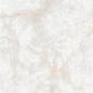 NTT3019P (A) Li Susu Dragon 120x240 NT Ceramic