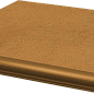 Aquarius Brown Ступень наружная с капиносом 33х33 Paradyz