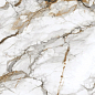 PT12P7081 Royal Marble Полированная 1200х600х9 Protiles фото в миниатюре