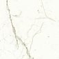 LU628365 Calacatta Oro Lucidato 8mm 60x120 IRIS FMG