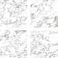 Arabescato Oscuro Elegance Polished 120х120 StaroSlabs