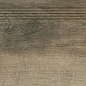 DCPVF748 SALOON dark brown 30x120 RAKO