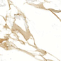 Medici Gold Pulido 60x120 Benadresa