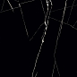 Nero Marquina HG 60x60 Casati Ceramica
