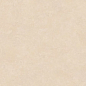 Microcemento Beige 30x90 Emigres
