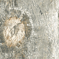 Bali Green In&Out 29,5x60 New Tiles