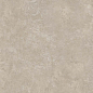 8160 Shell LB 60х60 Creto