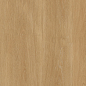 PT12F7041 Albero Beige Matt 1200х600х9 Protiles