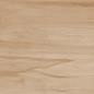 Paint Wood Bone Matt 60x120 Realistik