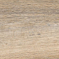 ENWD4025SR20120 Grove Beige Matt Relief 120x20x0.9 Ennface