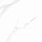 NTT9106P Statuario 60x120 NT Ceramic