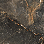 GT408013305MCR Maximus GT Черный 40x80 Global Tile