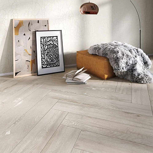 Canus Gravita