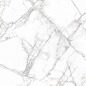 PR114 Arena White Polished 600x600 PrimaVera