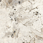N20637 Patagonia Polished 80x160 Neodom