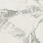 610010002749 Микеланджело Колд 60x60 ColiseumGres