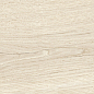 39247 Grow Maple SP/24X151X0,9/R 24x151 Peronda фото в миниатюре 9