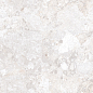 Venus Daisy Double Digital 60x120 Realistik