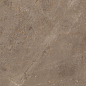 914 Luish Brown 120x60 Artcer