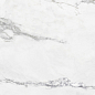 Insignia White Pulido 60x120 Colorker